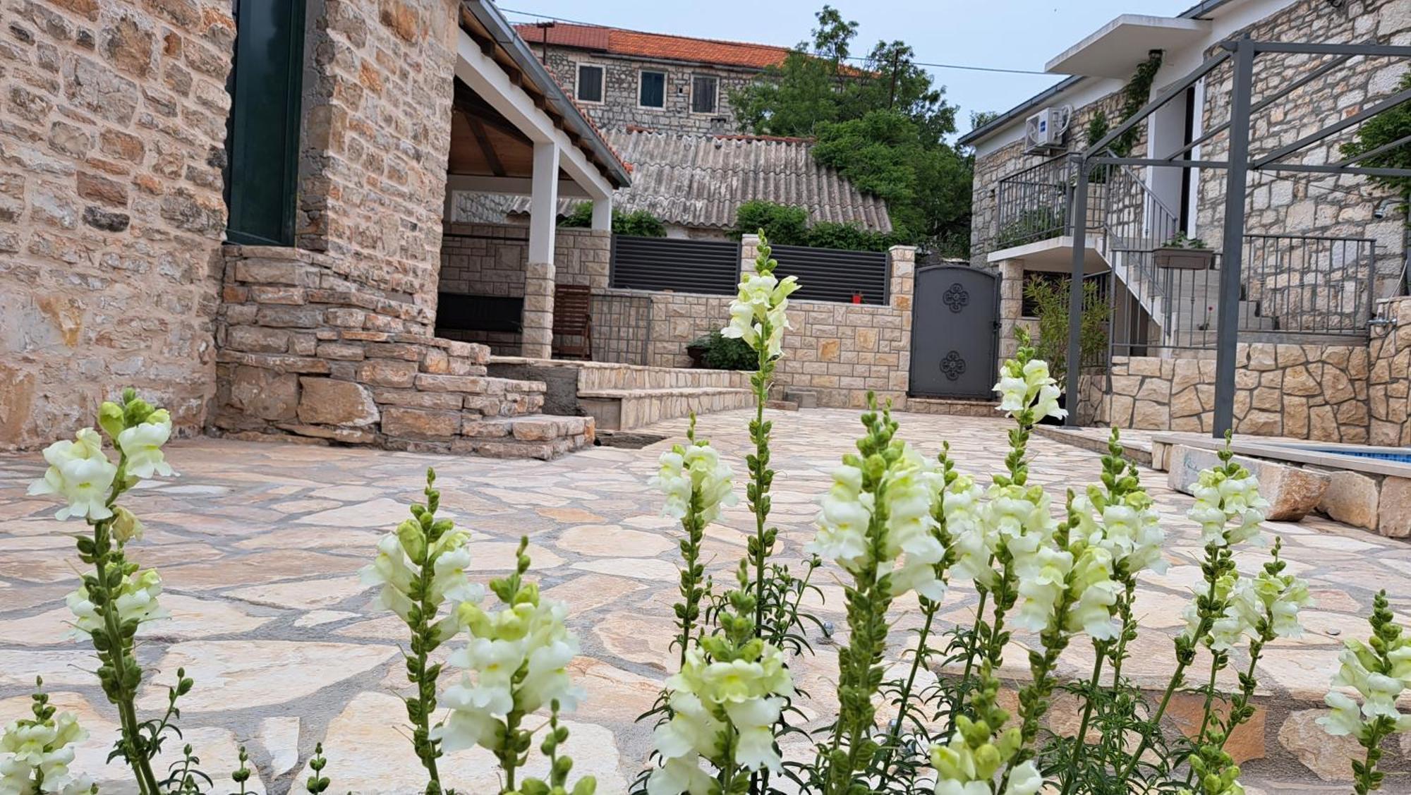 Apartments Tomina Donje Selo na Šolti Zewnętrze zdjęcie